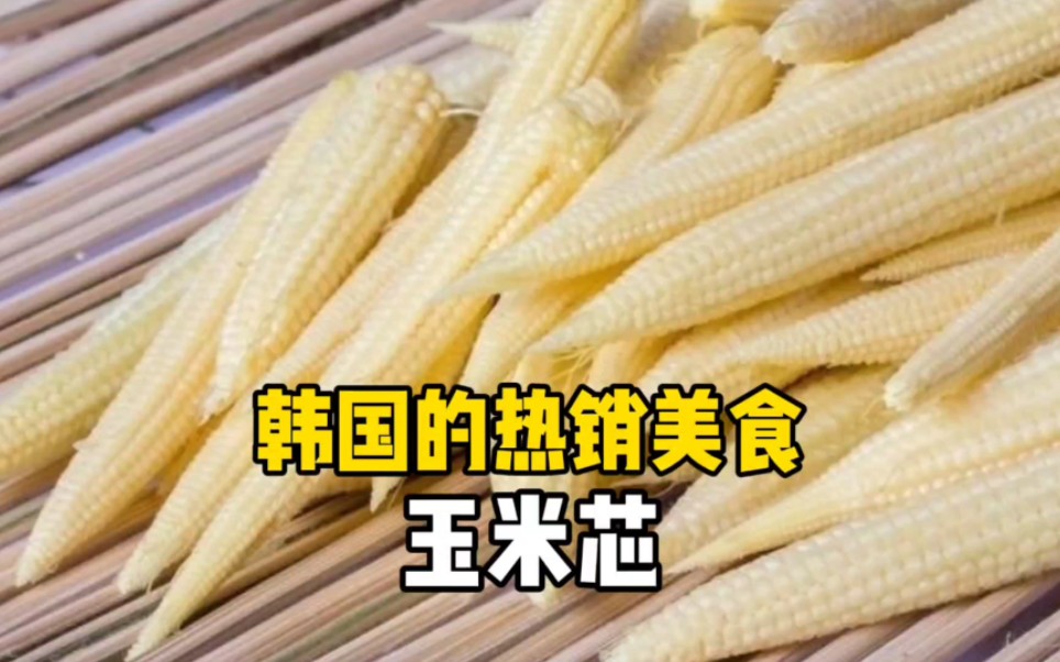 韩国的热销美食玉米芯