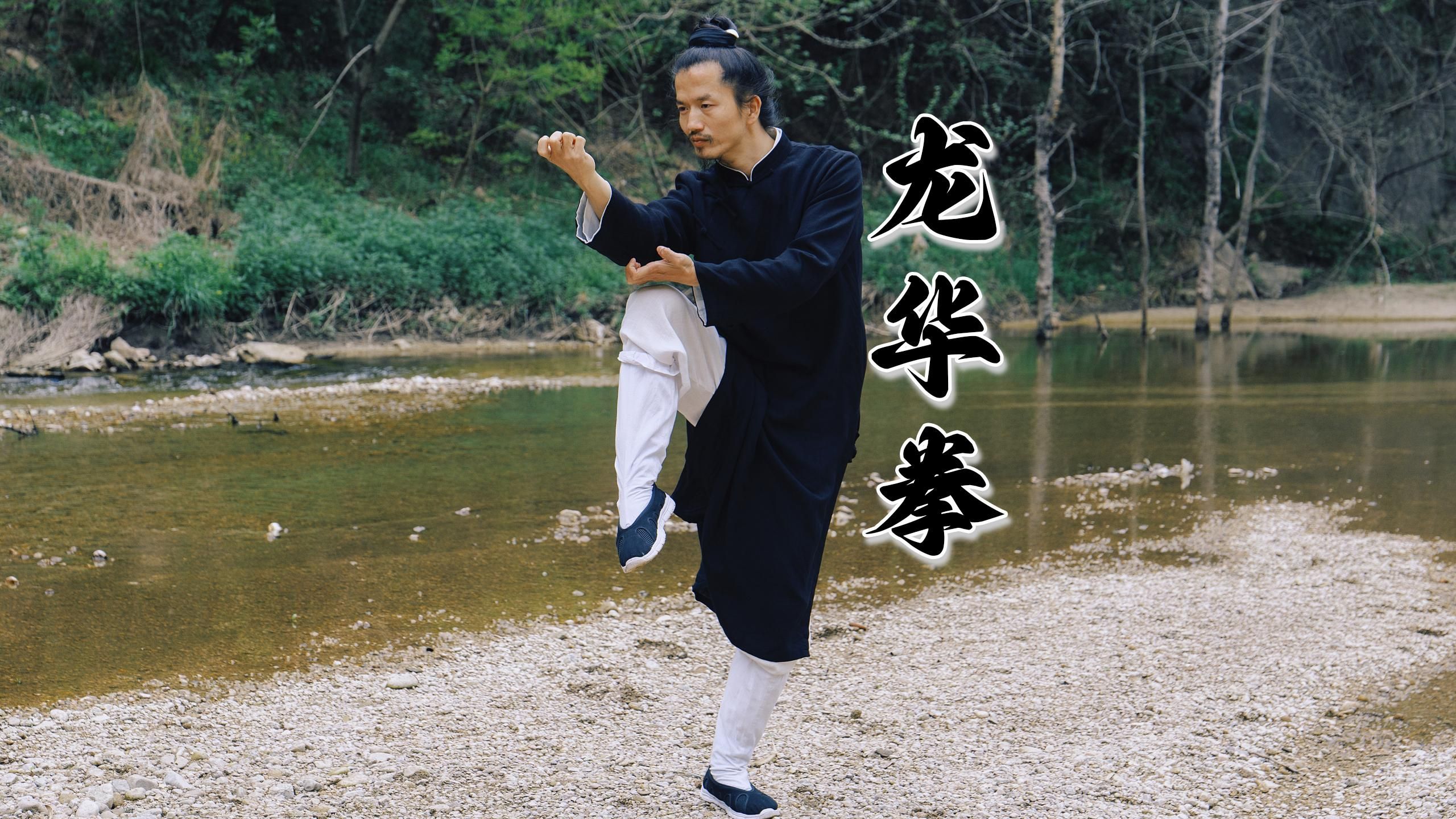 武当龙华拳完整展示