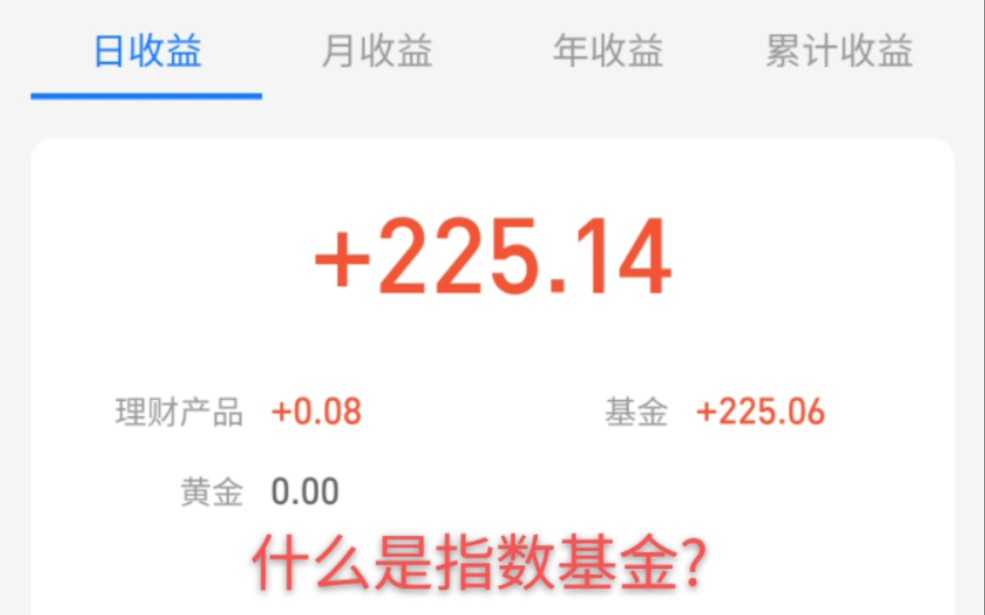 用四分钟告诉你什么是指数基金,详细解析!哔哩哔哩bilibili