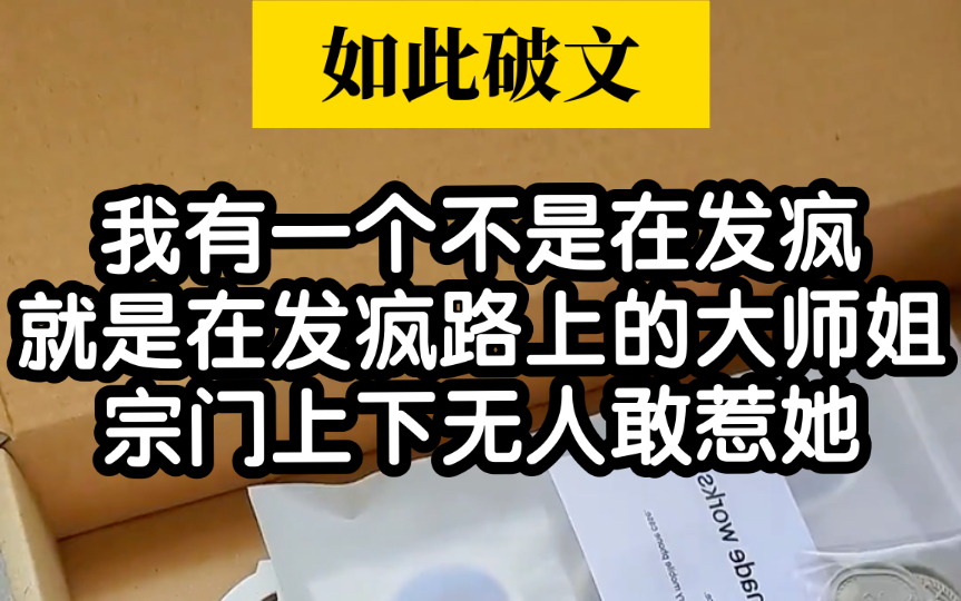 【如此破文】我的大师姐不是在发疯就是在发疯的路上哔哩哔哩bilibili