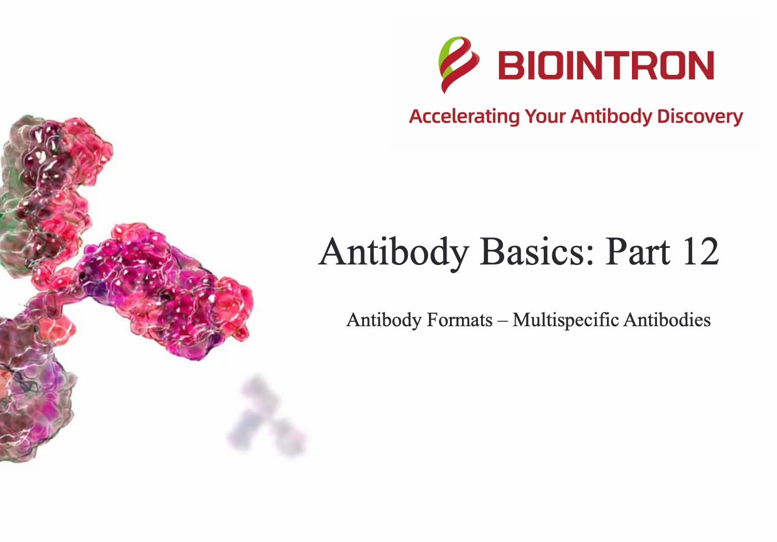 Antibody Basics 12——多特异性抗体哔哩哔哩bilibili