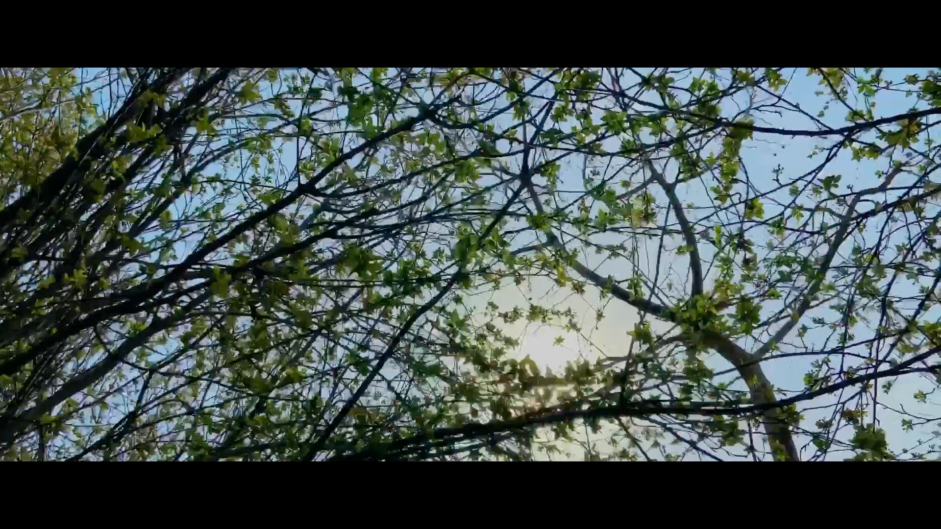 春天悄悄来了 iphone11拍摄