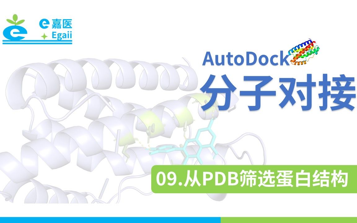 e嘉医 | AutoDock 分子对接:【09】从PDB筛选蛋白结构哔哩哔哩bilibili