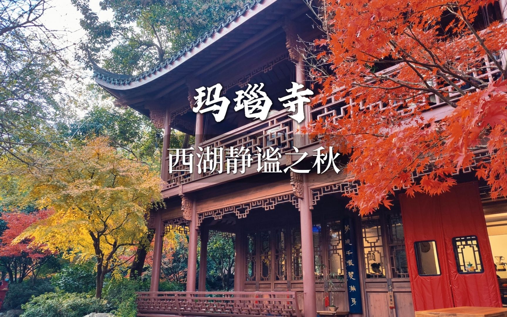 玛瑙寺,大隐隐于市的西湖边清幽小众散步地.这里赏枫品茶也都十分惬意,不用去西湖人挤人,在这一样赏得秋天红枫美景!哔哩哔哩bilibili