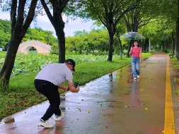 下载视频: 下雨天试试这样拍一镜到底拍人物也太美了，一个组合运镜头教会你，简单易学又好看#拍摄技巧 #林荫小道 #拍出电影感 #下雨天 #治愈系风景