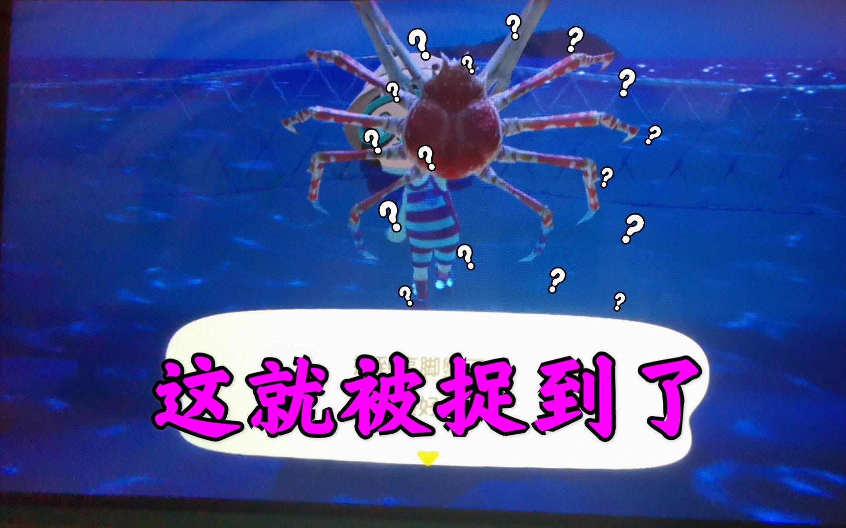 【游戏知识】如何捕捉高脚蟹?简易攻略来了||动森_哔哩哔哩_bilibili