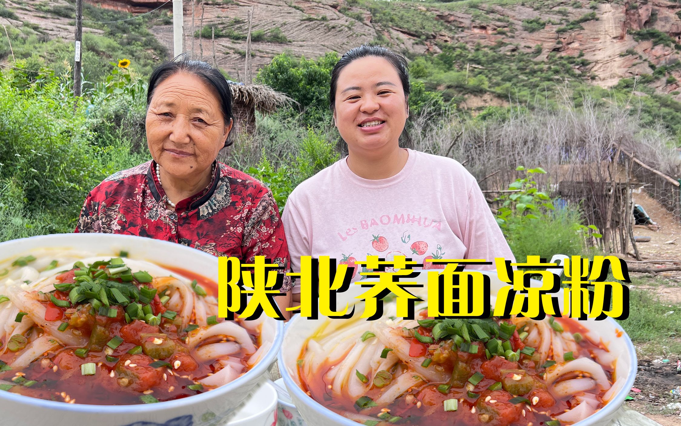 农村老家的夏天简直太美好,应有尽有,再来碗陕北的荞面凉粉更美哔哩哔哩bilibili