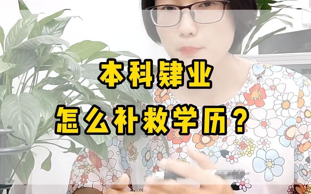 本科肄业怎么补救学历?哔哩哔哩bilibili