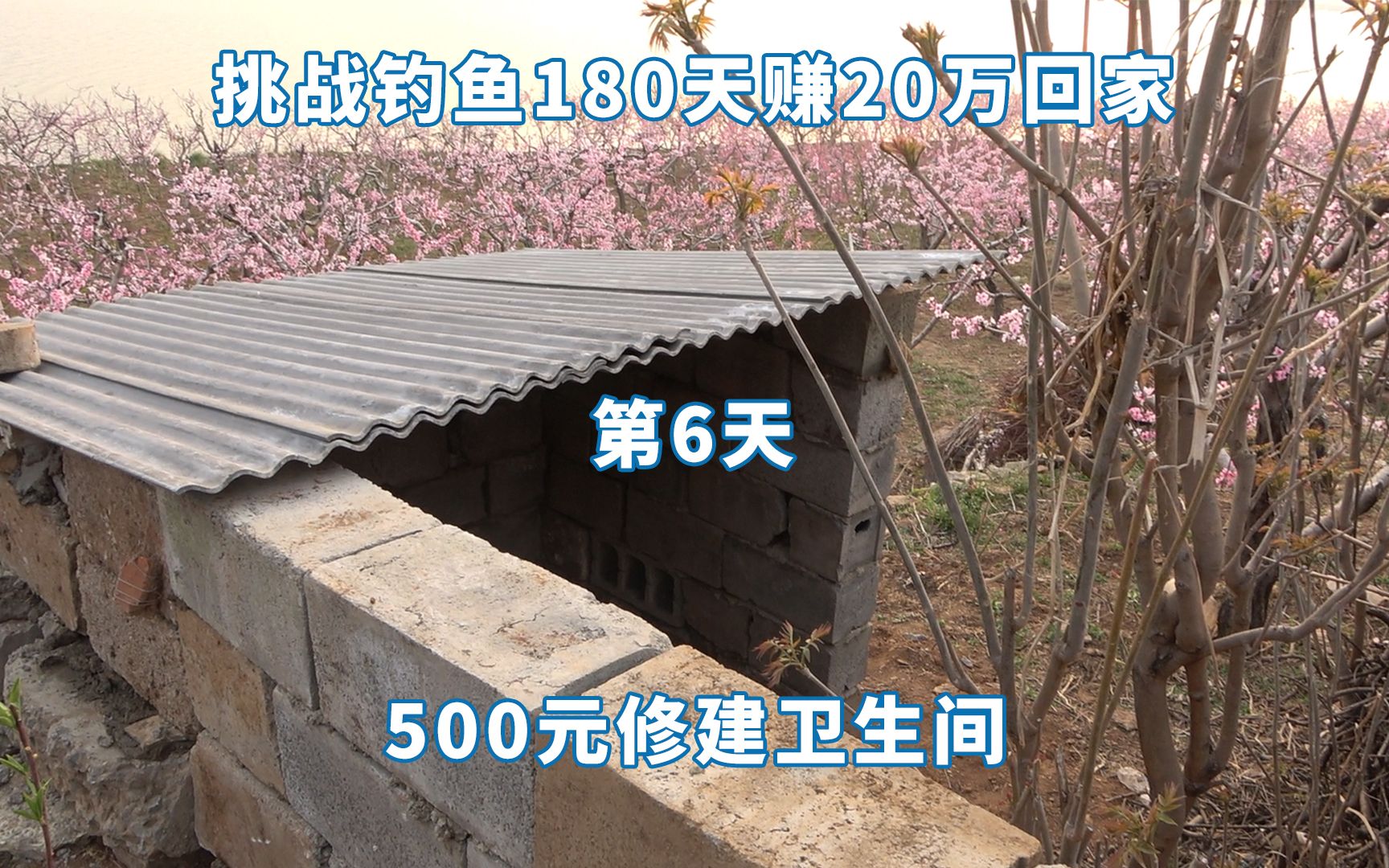 钓鱼180天赚20万第6天:窝里鱼越来越多,厕所也终于修好了哔哩哔哩bilibili