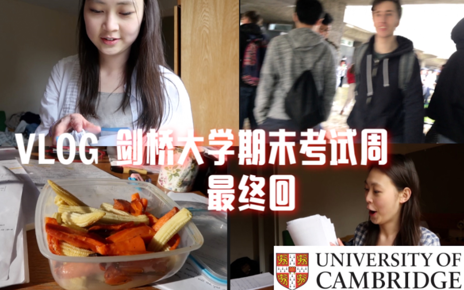 我终于考完了!! 带你们看看剑桥大学生期末考试后是如何狂欢的 |学霸云集的party ft. 我考试完后都干什么【彭酱】哔哩哔哩bilibili