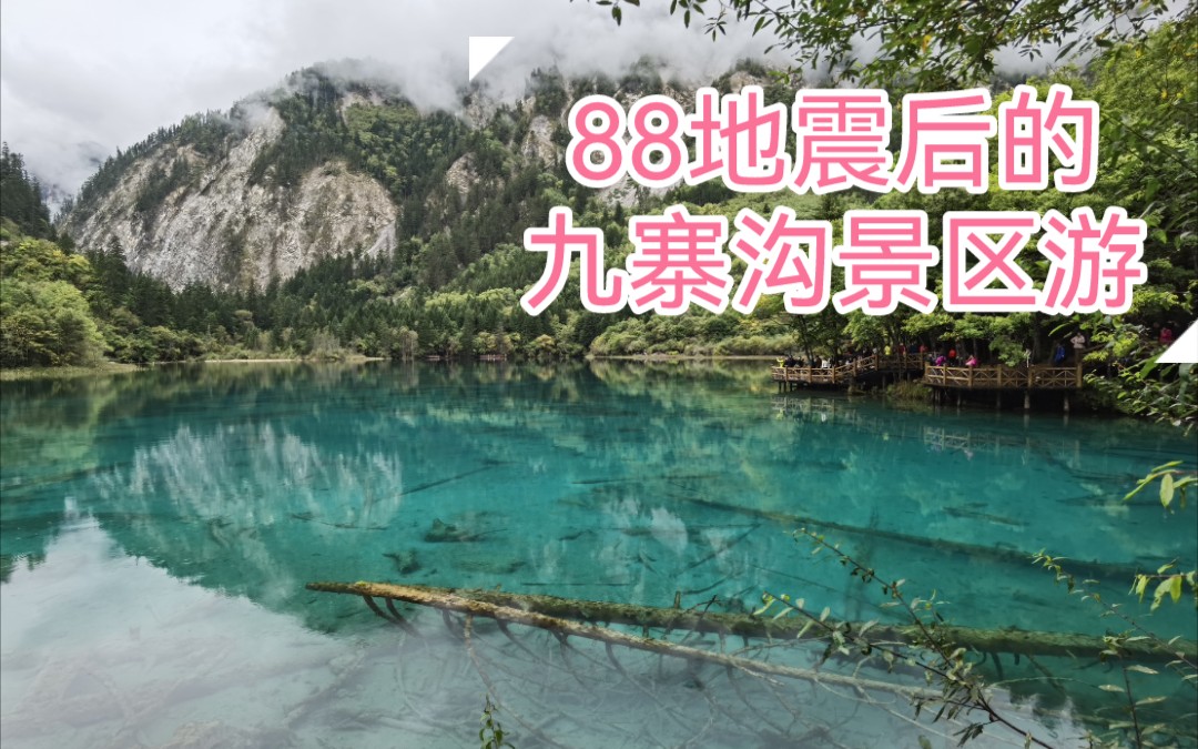 88地震后封闭了2年零49天的九寨沟景区如今怎样,是否值得一去呢哔哩哔哩bilibili