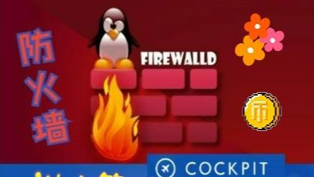 【Rocky9→Cockpit】Firewalld:将容器网络的'zone'进行更改与分离,再利用浏览器网页实现便捷管理!哔哩哔哩bilibili