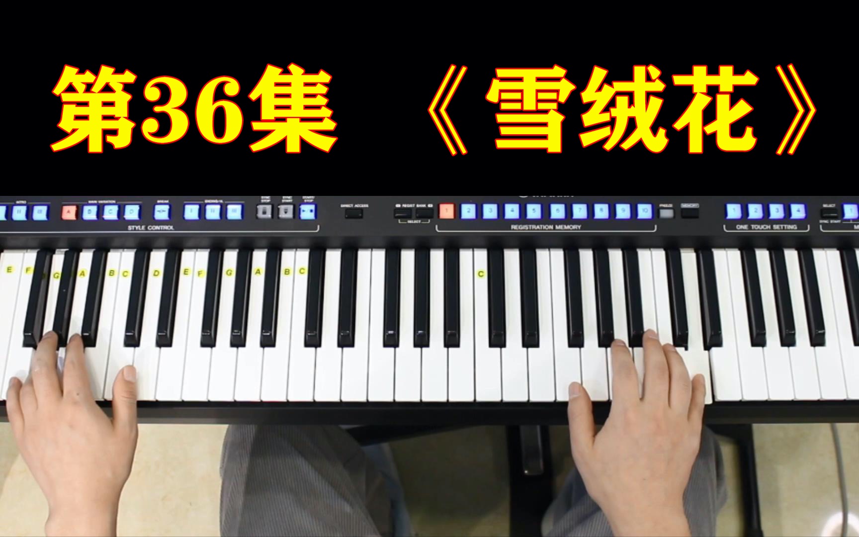 电子琴零基础教学,第36集,《雪绒花》.
