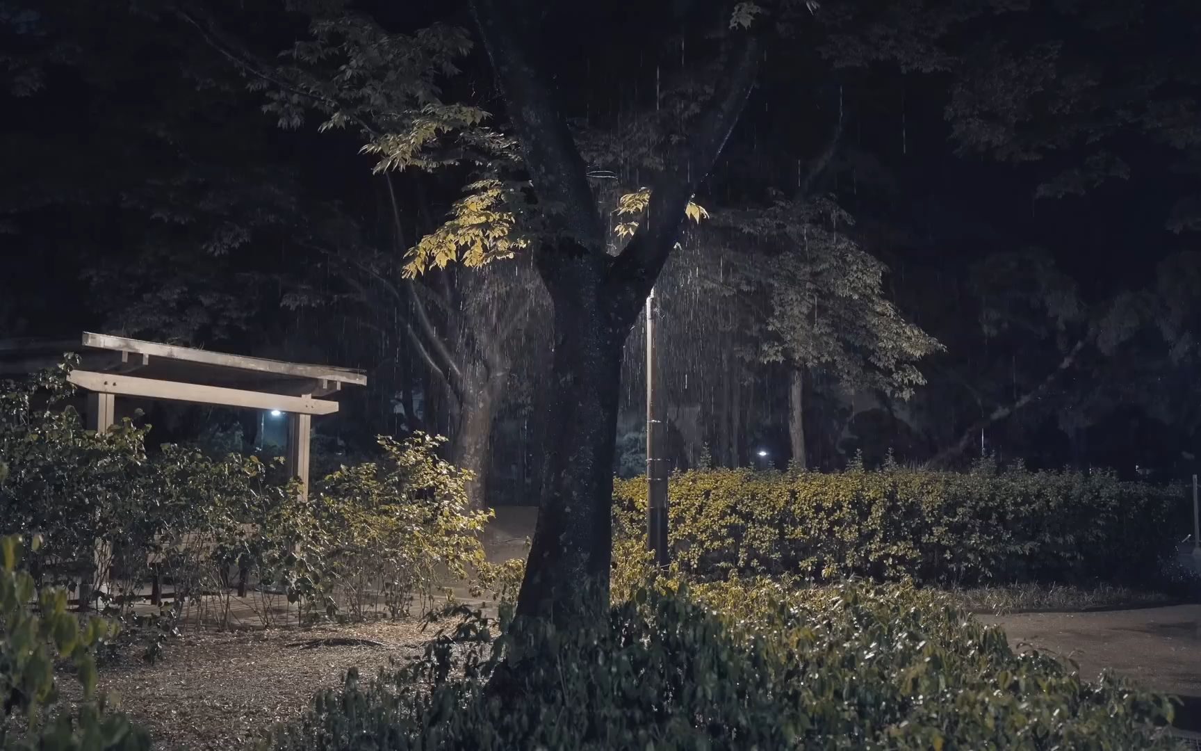 丨白噪音丨治愈丨助眠丨下雨丨工作丨冥想丨失眠丨催眠丨雨声入睡丨