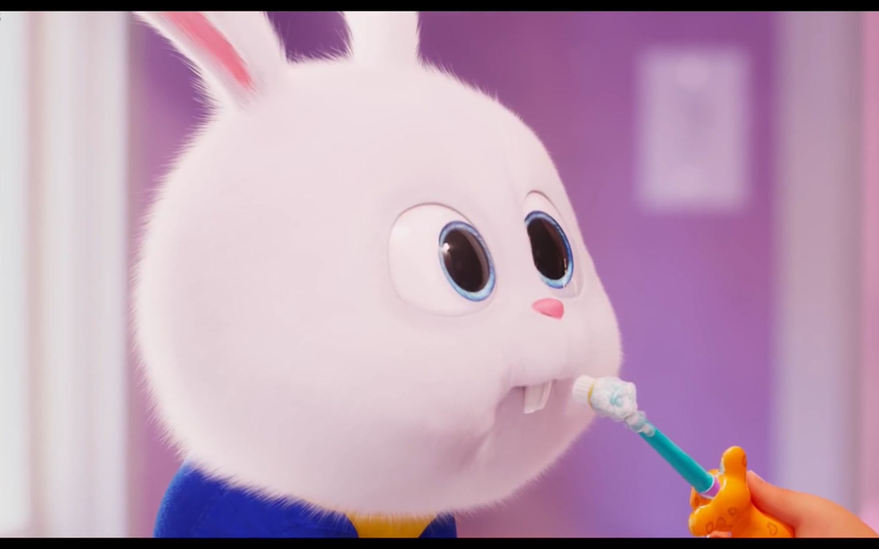 2019电影《爱宠大机密2》中英字幕预告3支1080p ,狗,猫,兔老大