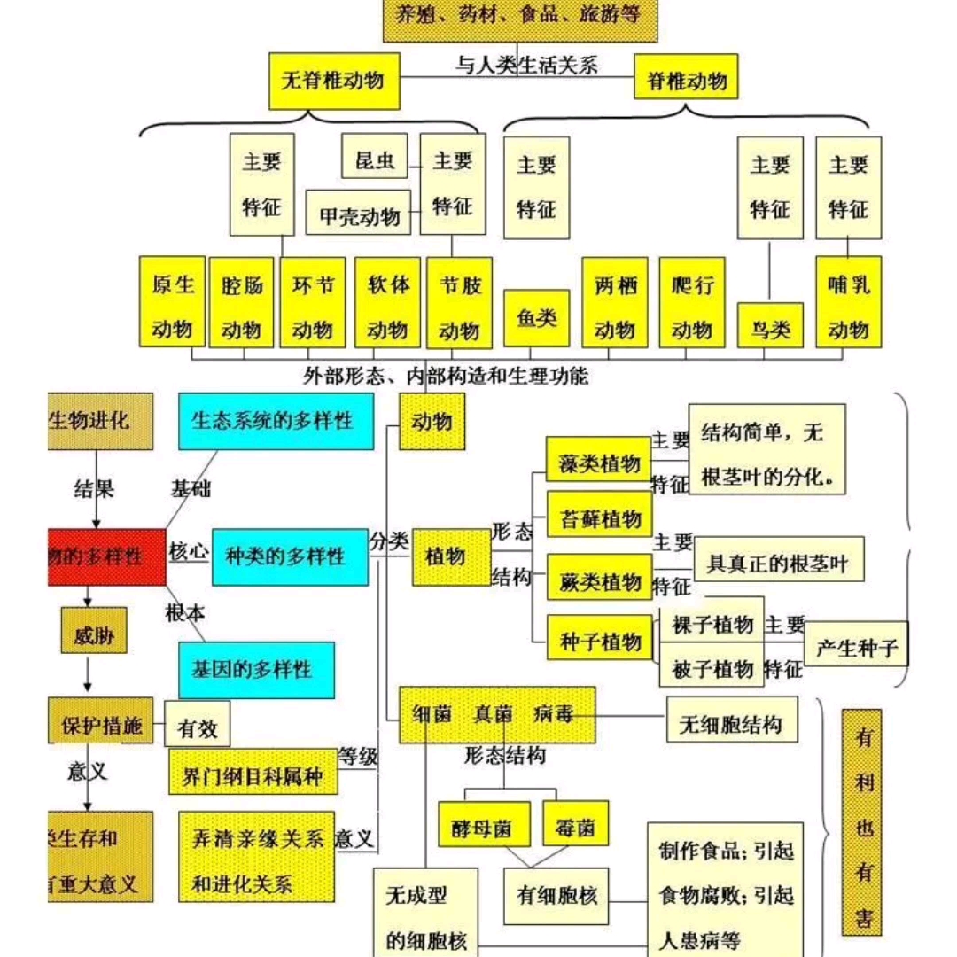 生物会考知识点总结哔哩哔哩bilibili