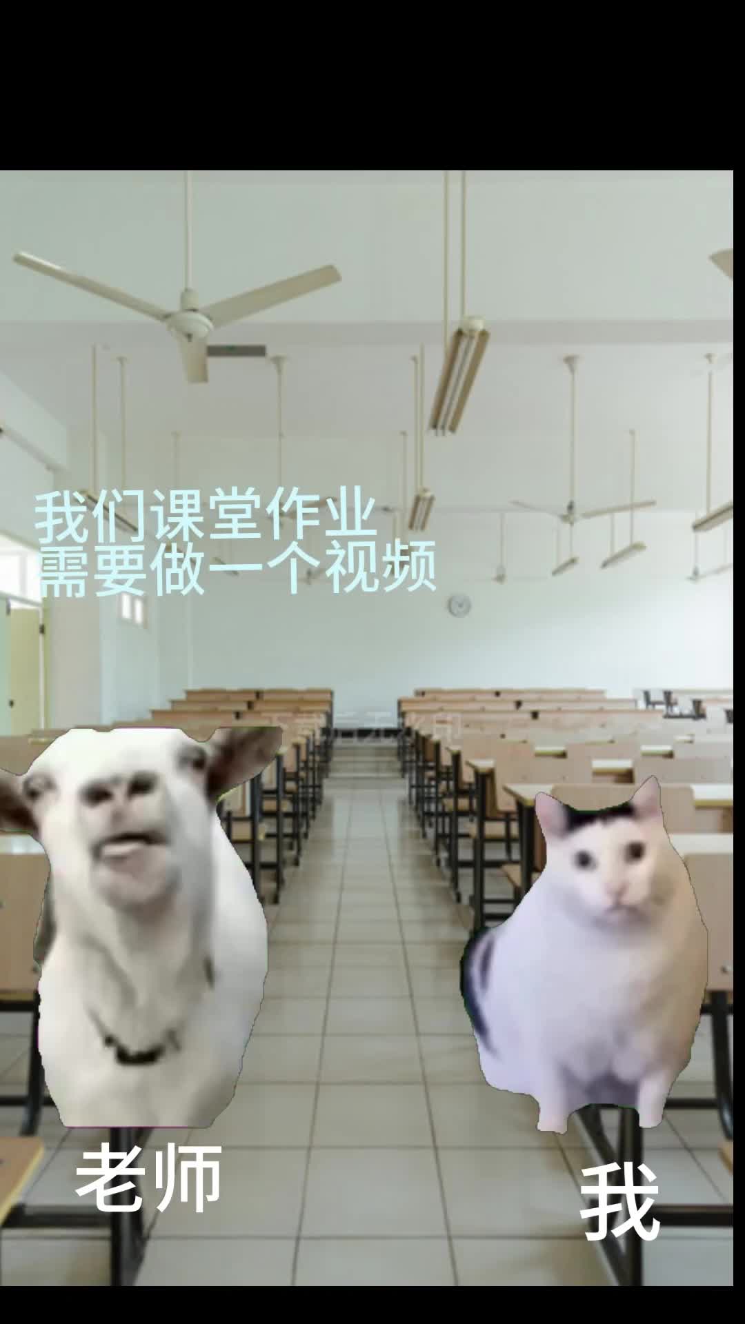 猫meme记录女大学生第一次视频制作历程~哔哩哔哩bilibili