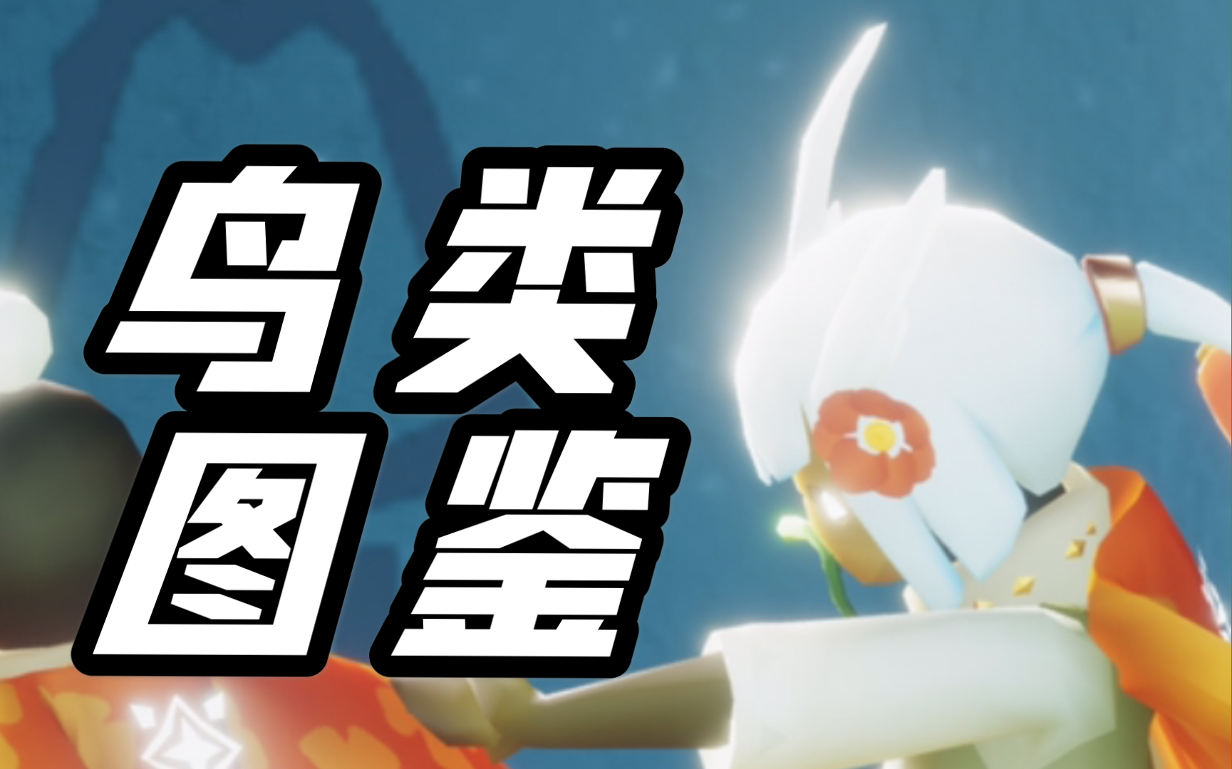 【光遇】鸟 类 图 鉴