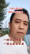 Скачать видео: 沂南土肥小哥翻唱珊瑚颂蚂蚱养殖近距离看蚂蚱我的乡村生活