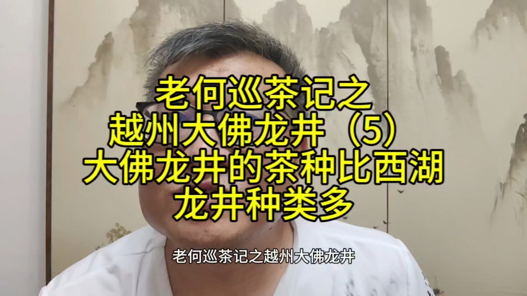 老何巡茶记之越州大佛龙井,大佛龙井的茶种比西湖龙井多哔哩哔哩bilibili