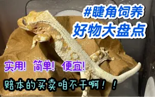 Download Video: 一个视频讲清饲养睫角的所有好物！