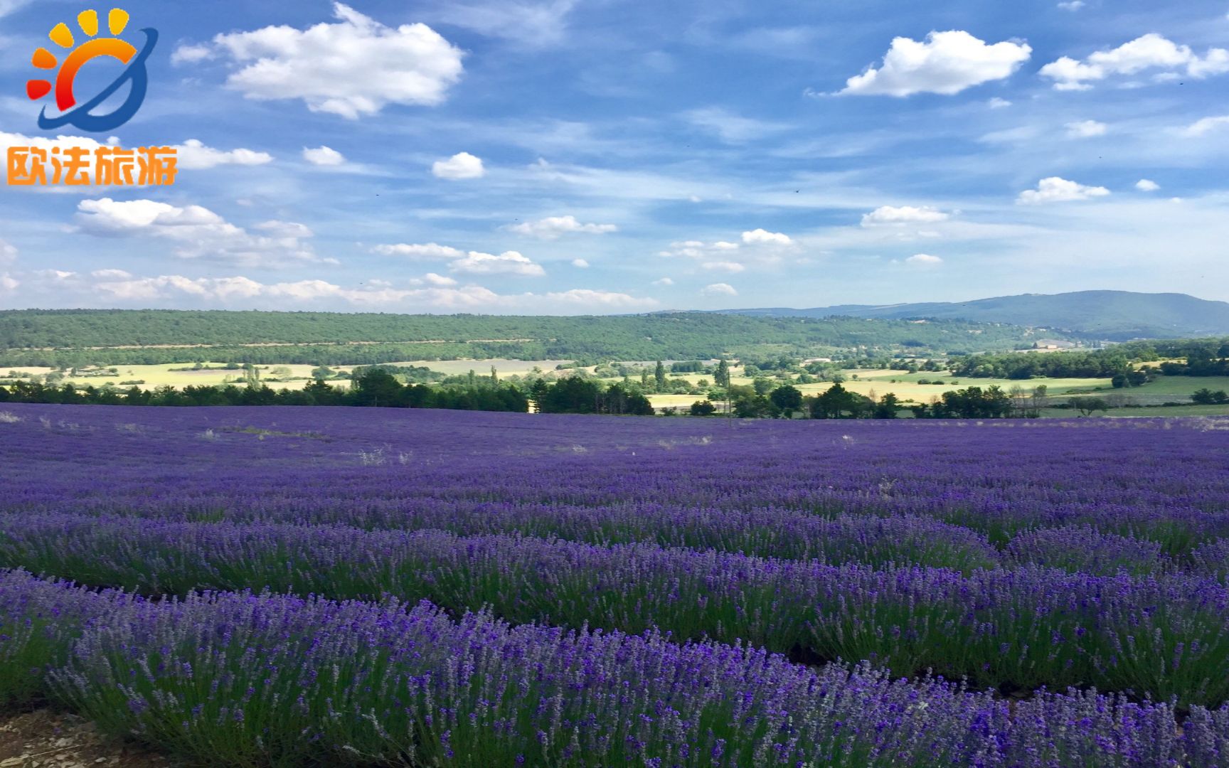 普罗旺斯薰衣草小镇旅游推荐介绍法国南部最真实惊艳的景色