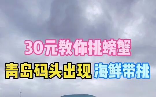 “给我30元,教你挑螃蟹”,青岛码头上出现了做“海鲜带挑”生意的大叔哔哩哔哩bilibili