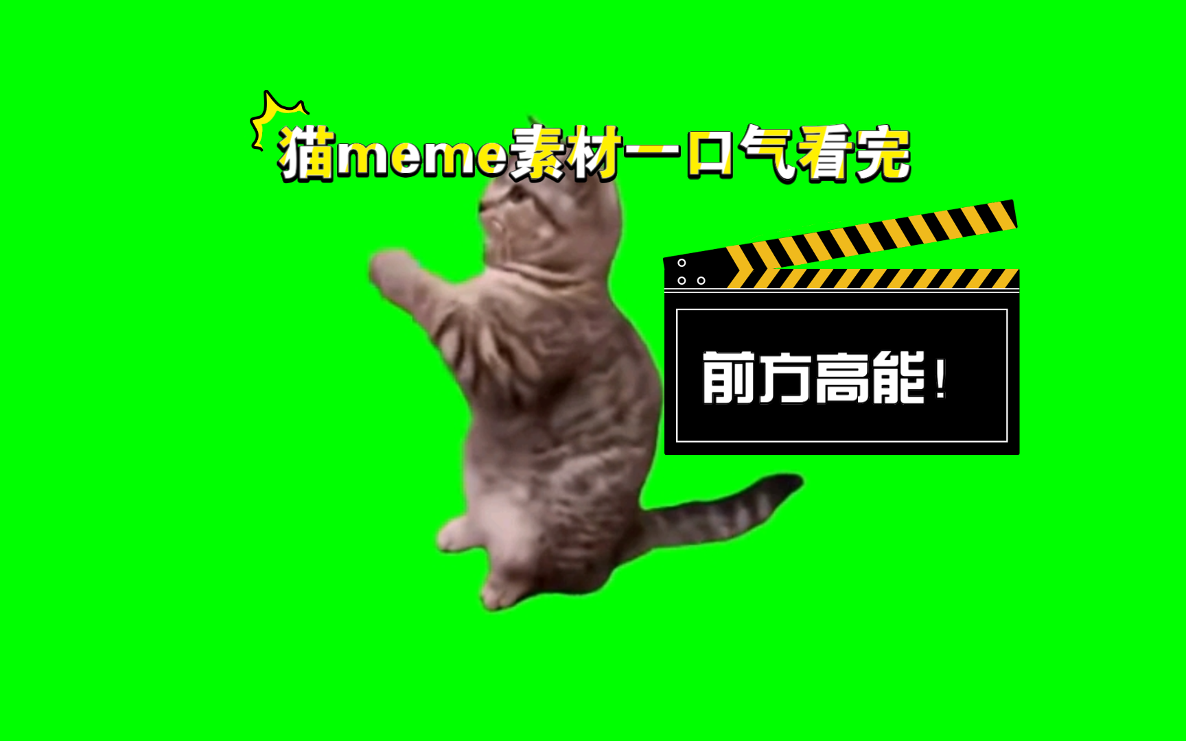 一口气看完猫meme所有素材哔哩哔哩bilibili