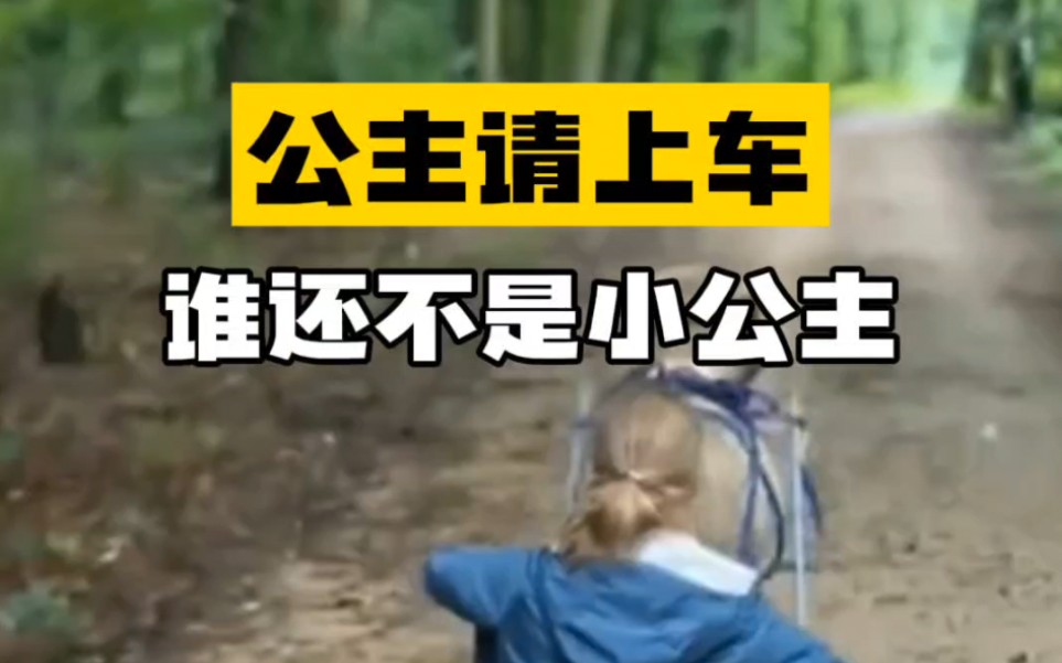 公主请上车 谁还不是个小公主