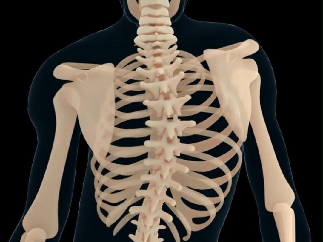 【体态矫正】孩子脊柱弯曲,两个动作帮你矫正