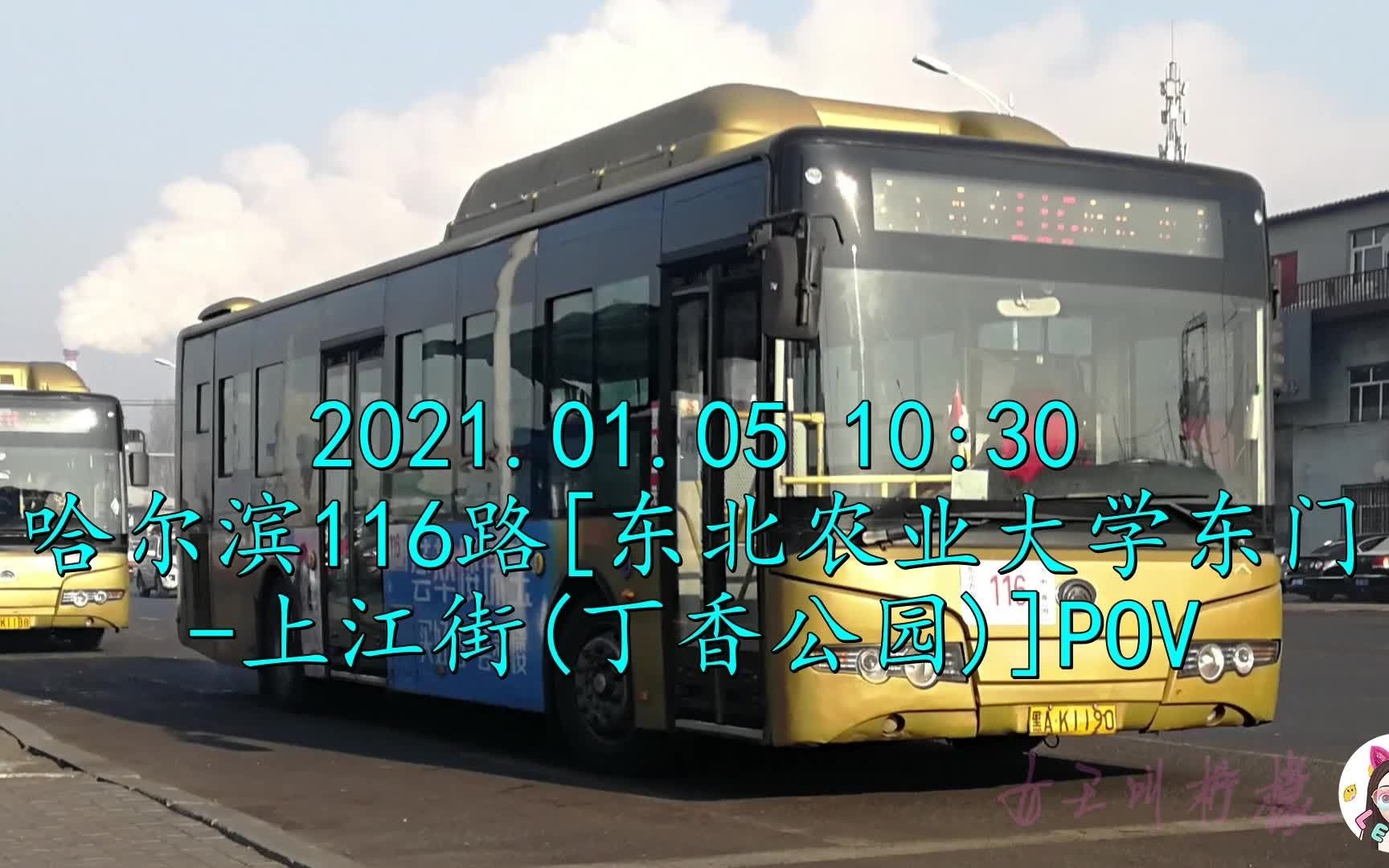 202101051030哈尔滨116路东北农业大学东门上江街丁香公园pov