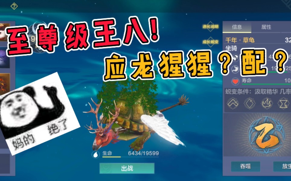 妄想山海费劲心思终于把草龟蜕变成千年这资质不是一般的强