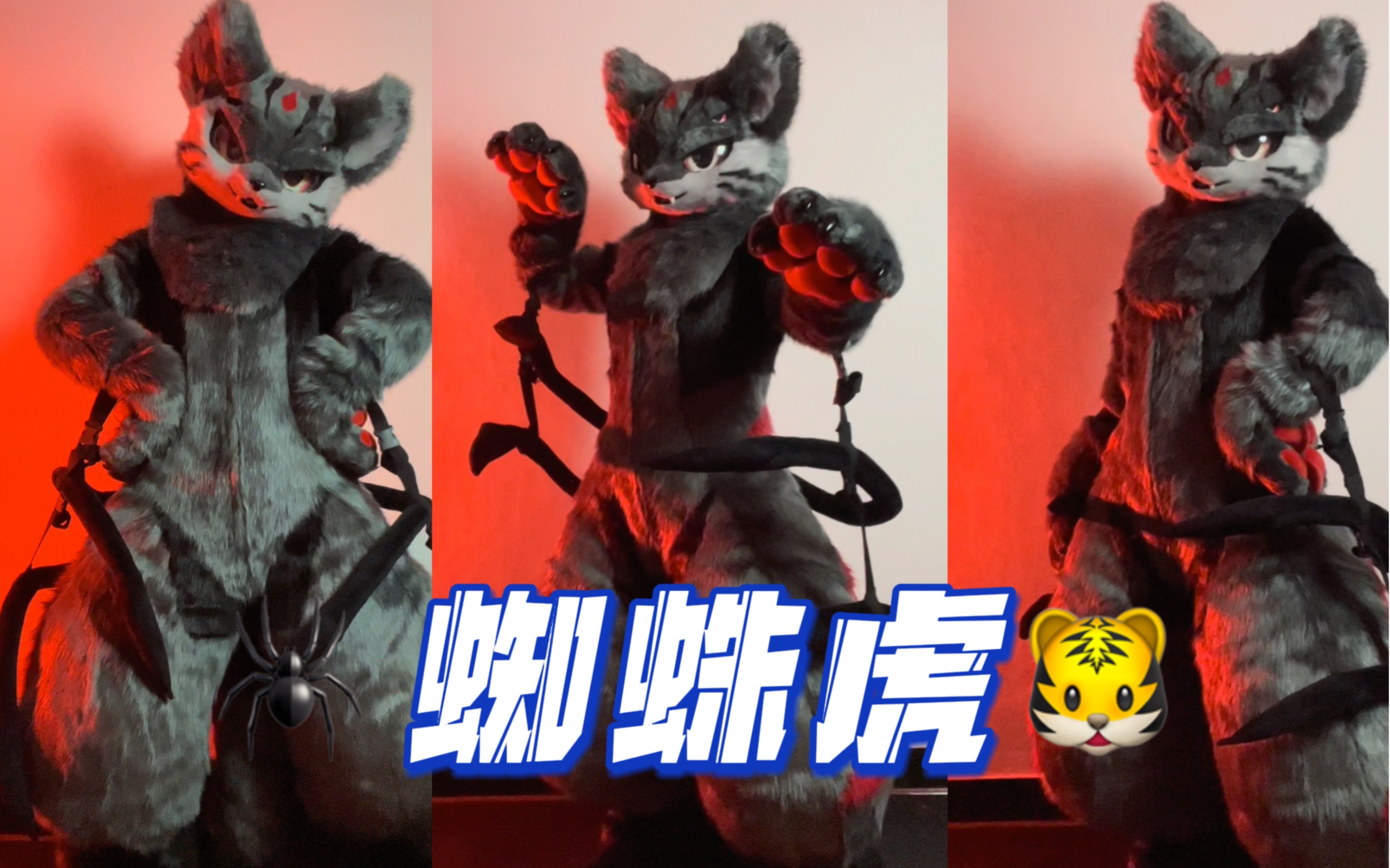 【兽装fursuit】虎年兽装掉落蜘蛛虎哔哩哔哩bilibili