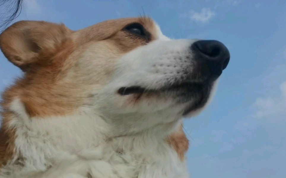 45°仰望天空基
