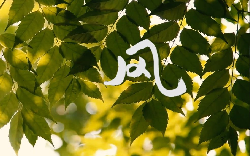 原创歌曲《风》lyric video『02当一阵风吹过 叶子也在被吹动 』