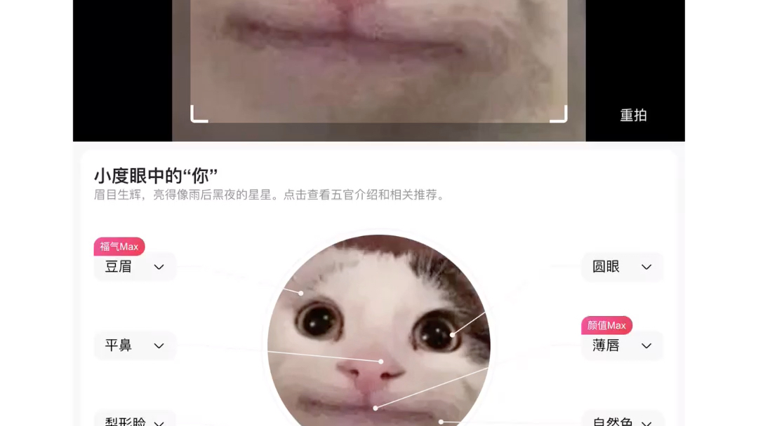 Buluga的颜值哔哩哔哩bilibili