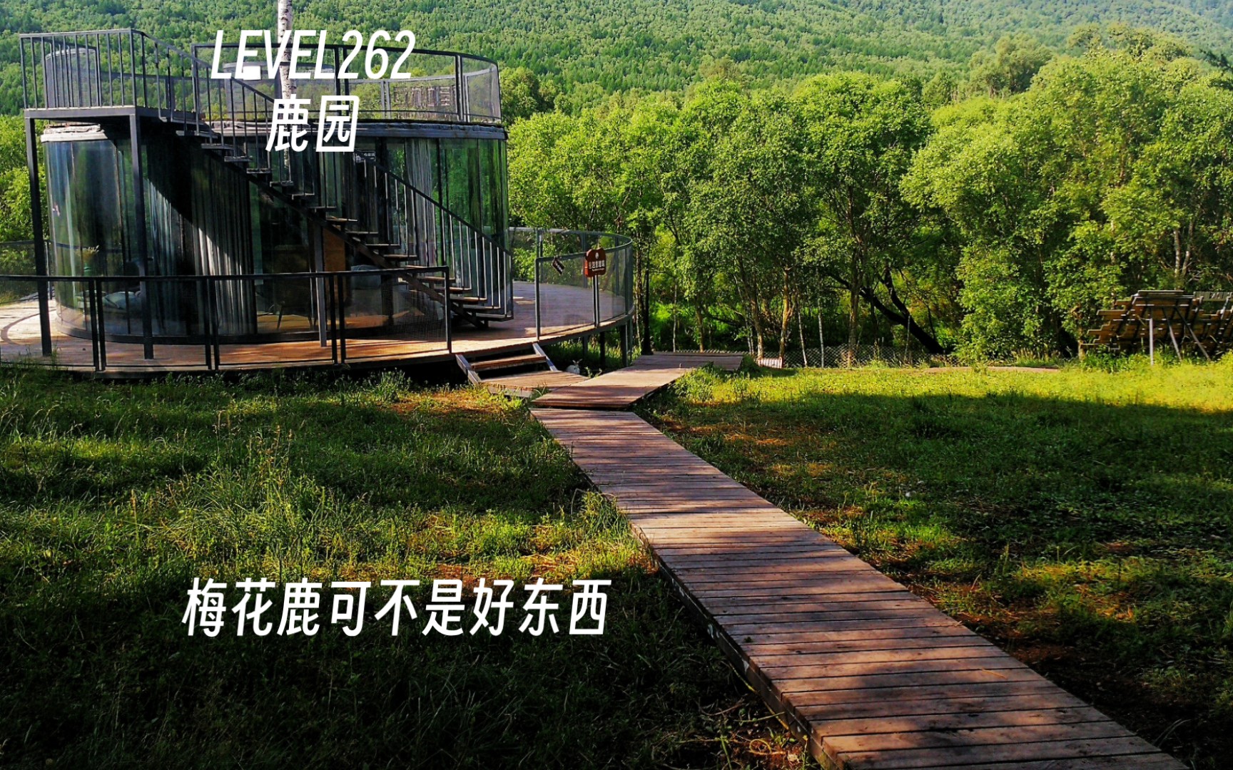 [图]小助手后室电台 level262 鹿园（自创）