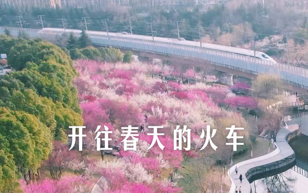 [图]合肥匡河公园梅花盛开，开往春天的列车刚好进站