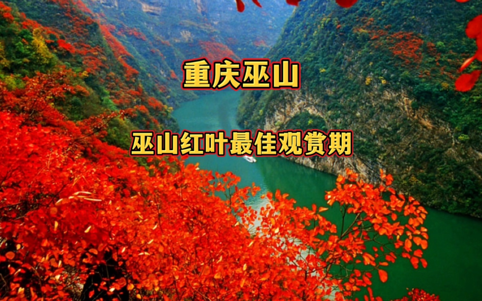 “满山红叶似彩霞,彩霞年年映三峡”,又到了一年一度巫山红叶最佳观赏期了,第十七届长江山峡国际红叶节,将在11月18号开幕,走起!走起!哔哩哔...