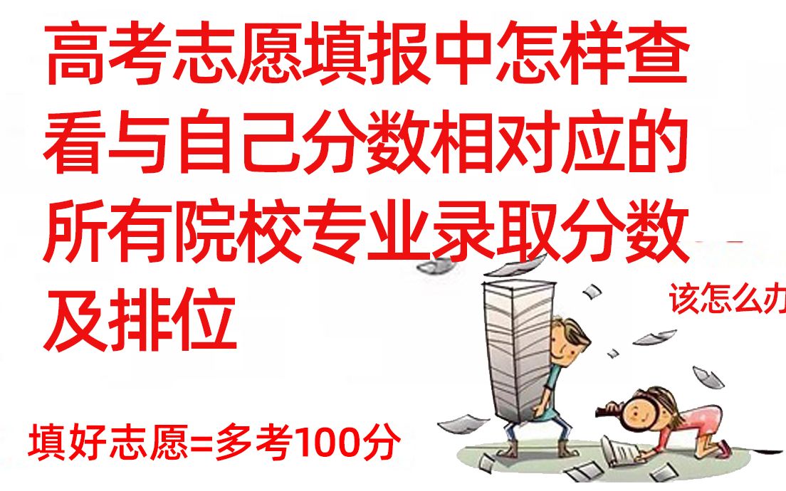 高考志愿填报中怎样查看与自己分数相对应的所有院校和专业的录取分数及排位哔哩哔哩bilibili