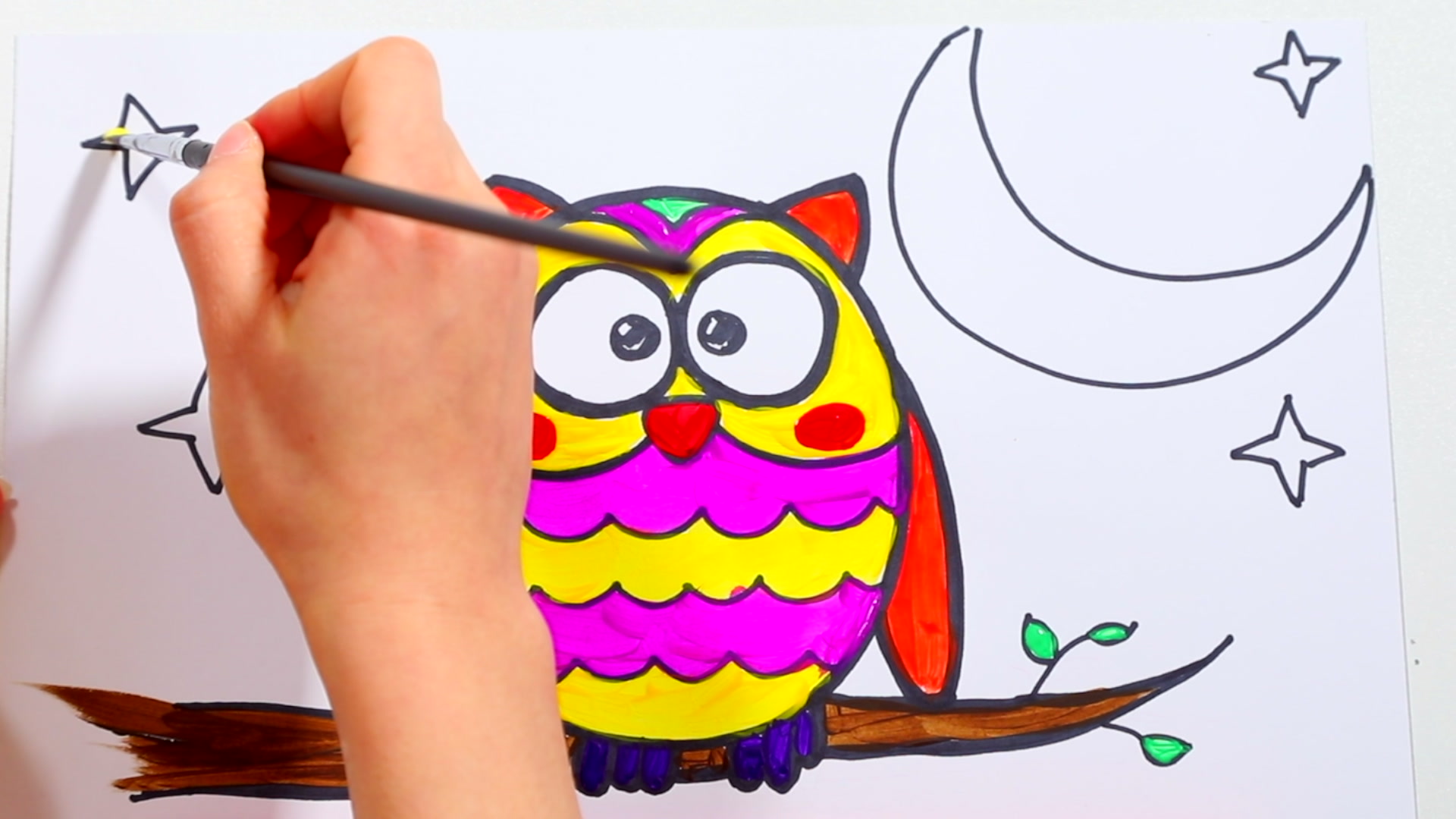 学画一只可爱的猫头鹰 Learn drawing an owl 边学画画边学英语【西瓜宝宝学画画学英语】哔哩哔哩bilibili