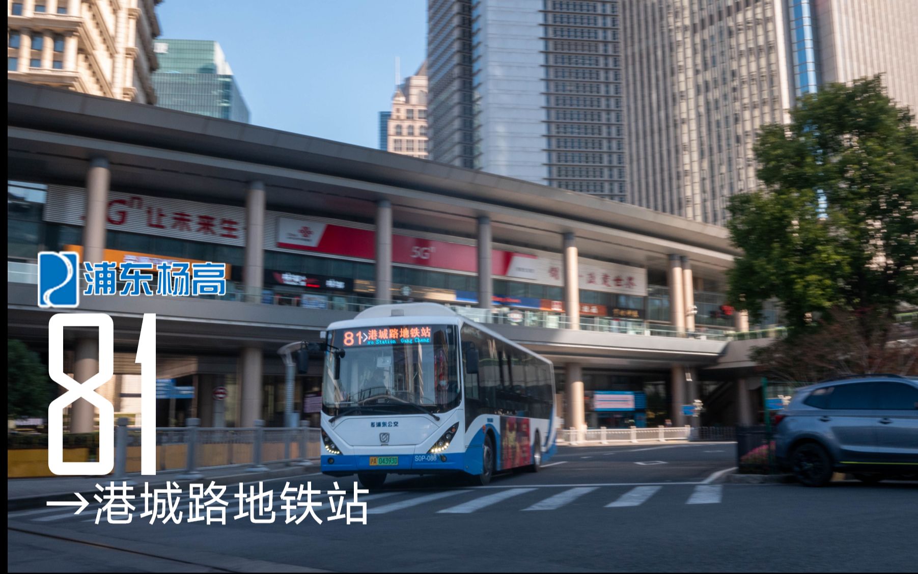 那日已换新模样 上海公交81路 陆家嘴地铁站→港城路地铁站