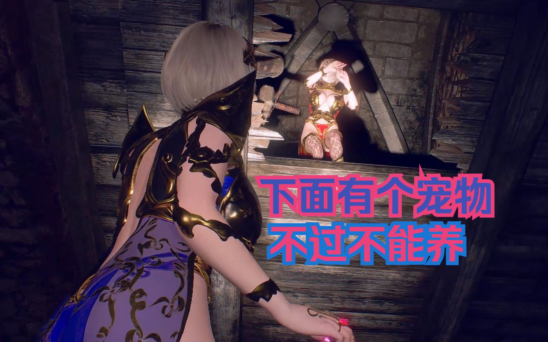 【空中铁匠mod】艾什莉盔甲mod-蓝盔15