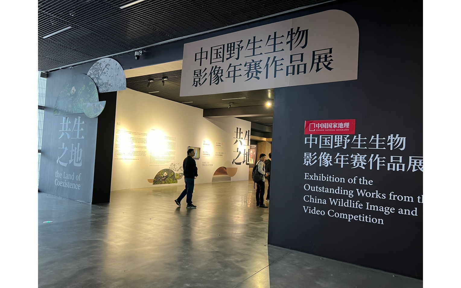坪山美术馆惊艳瞬间:感受艺术的无限魅力!