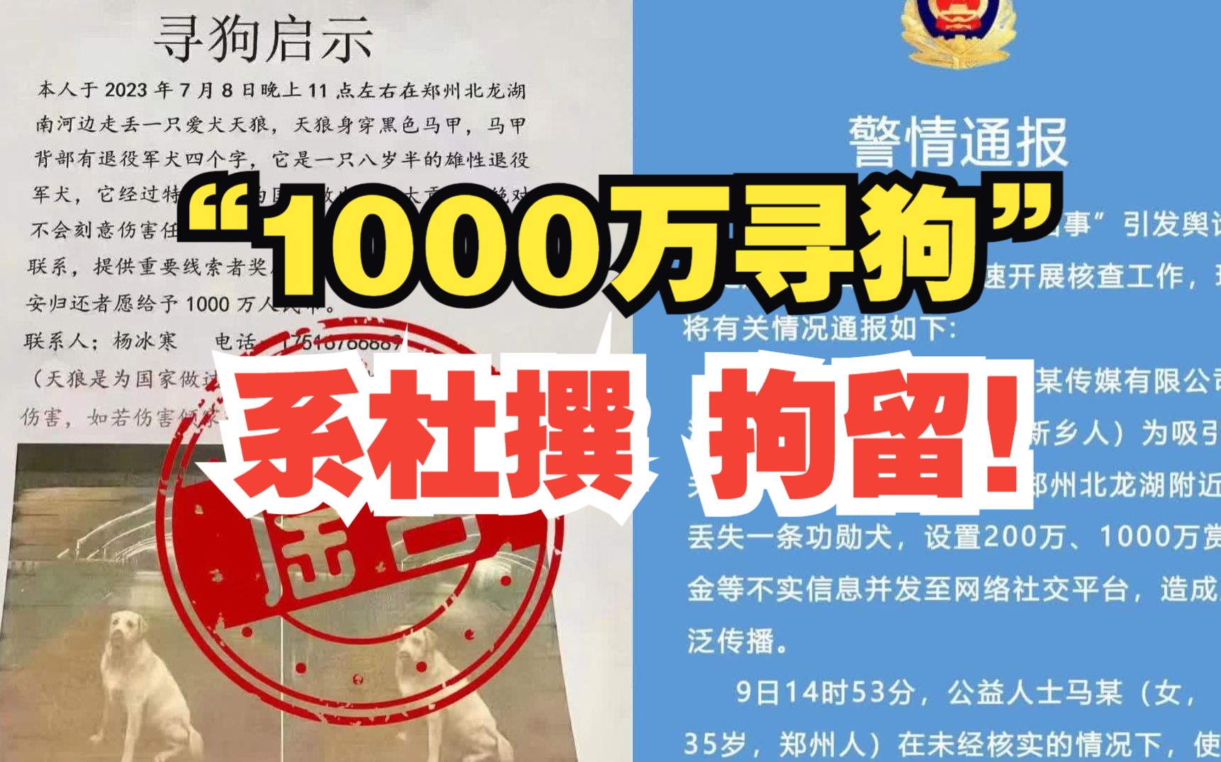 郑州警方通报“悬赏1000万寻狗”:消息系杜撰 发布者已行拘哔哩哔哩bilibili