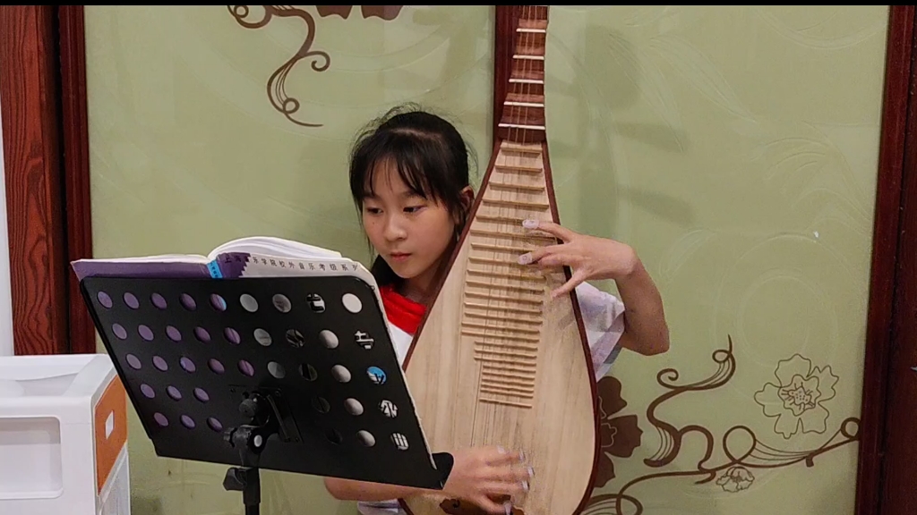 《小小竹排》琵琶独奏