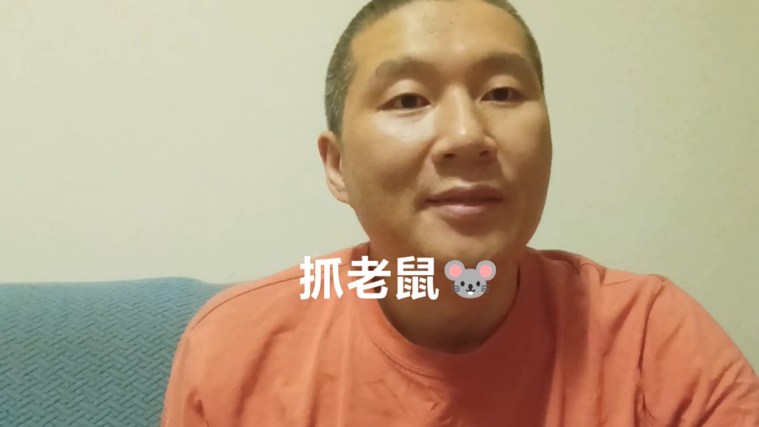 如何用老鼠笼抓老鼠?2个月抓了5只老鼠哔哩哔哩bilibili