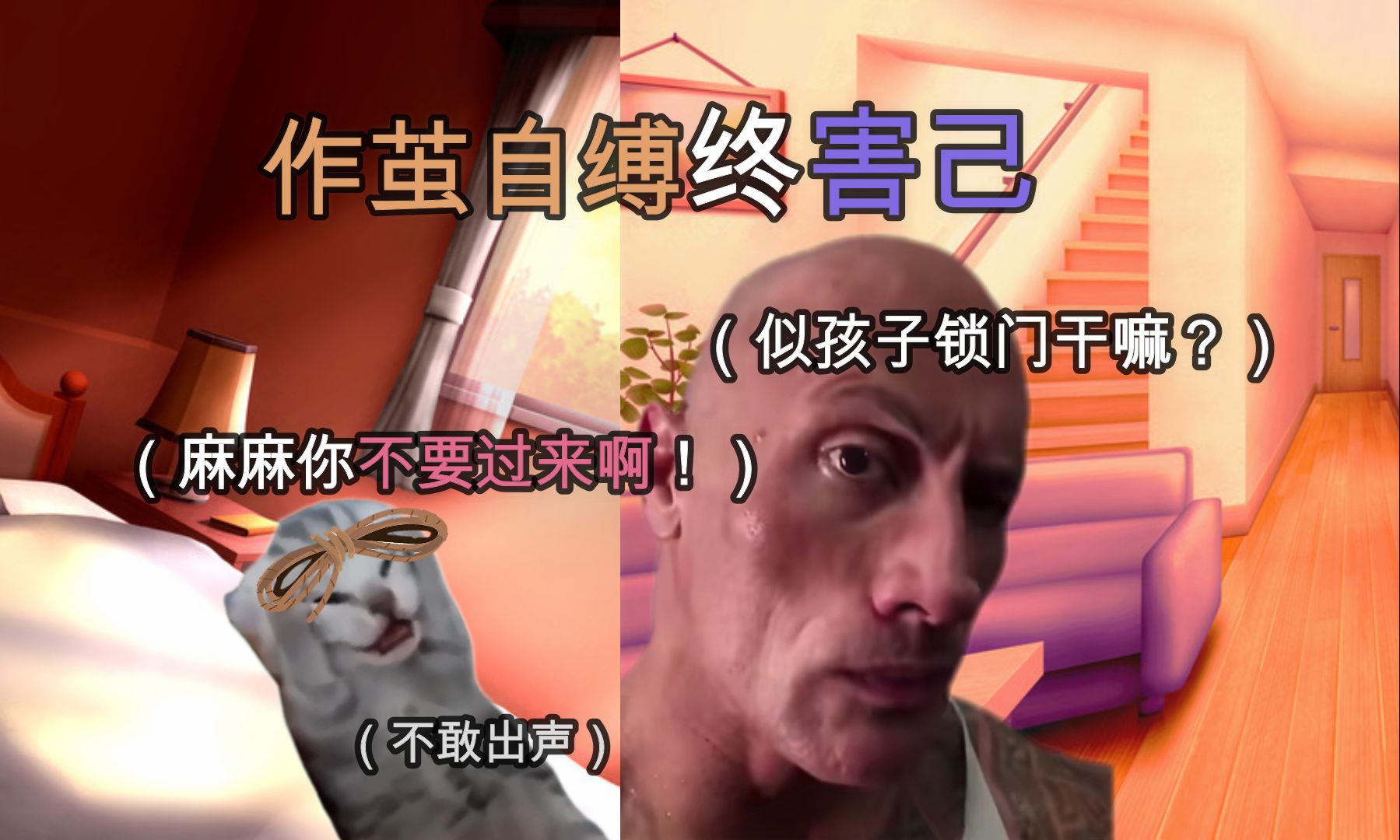 【猫meme】关于作茧自缚时被麻麻抓住的故事哔哩哔哩bilibili