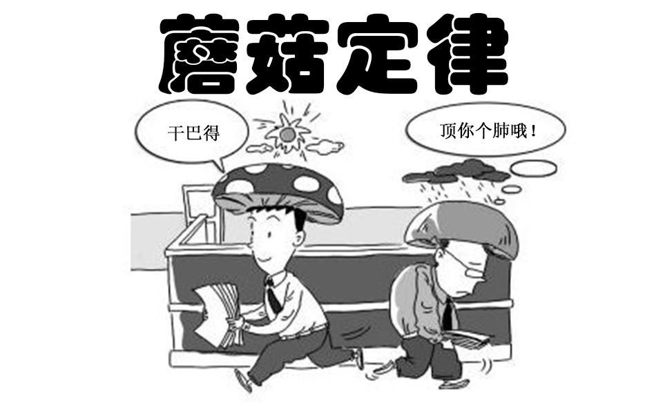 【人类观察所】Vol.22 蘑菇效应 每天跟阿柴学一点心理学,一起好好生存哔哩哔哩bilibili