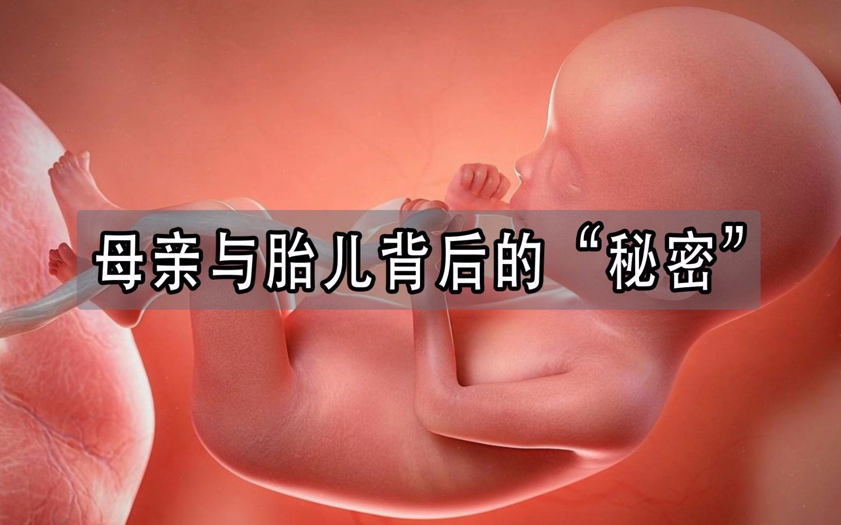 [图]不敢相信，“十月怀胎”的背后，竟然隐藏着这样的秘密！